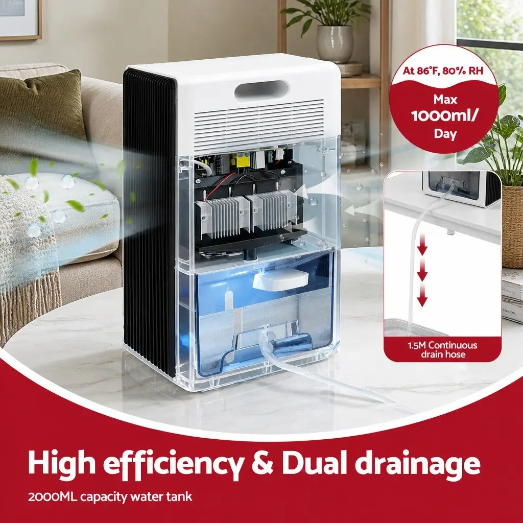 Portable Dehumidifier for Home Use