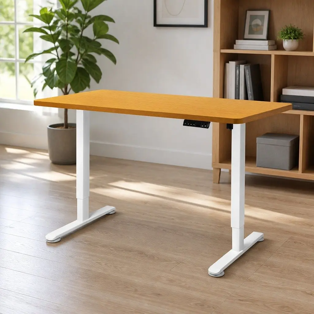 Standing Desk Frame for Home Office Use