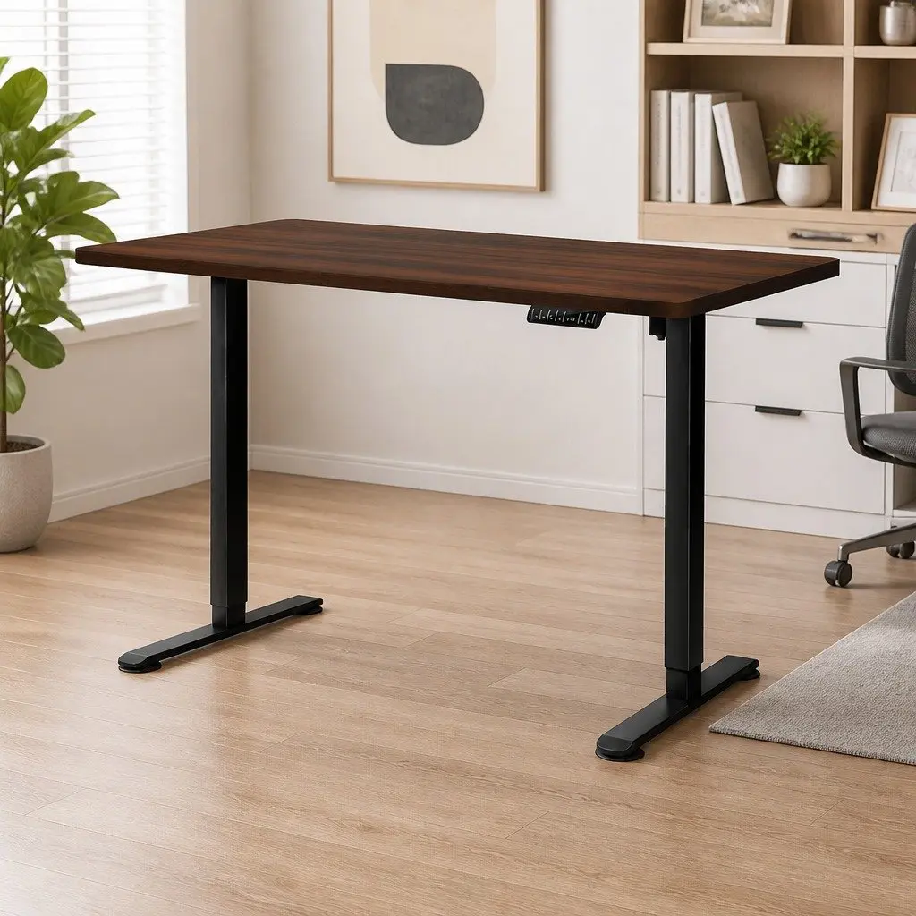 Electric Standing Desk for Home and Office