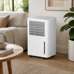 Practical 12L Dehumidifier and Air Purifier for Home