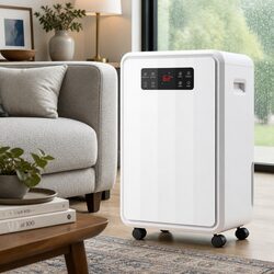 The Ideal Dehumidifier for Your Large Home