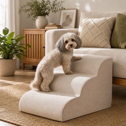 Practical Use of 3-Tier Dog Ramp for Homes