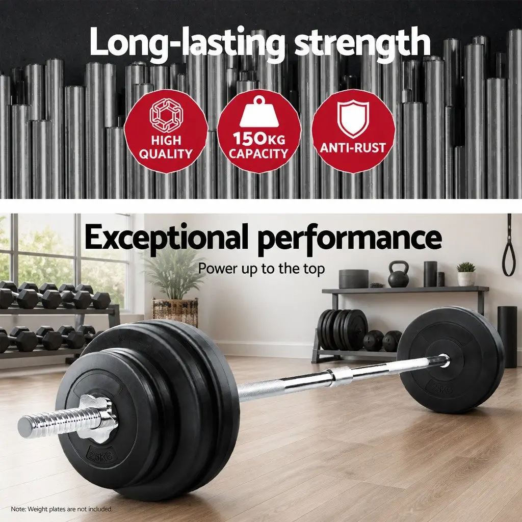 Barbell Bar Steel 168cm 5.5FT Silver Weight Lifting Rod