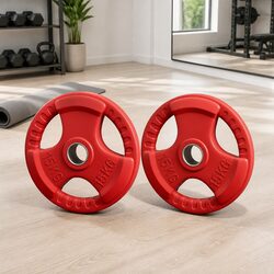Practical 15kg Weight Plates for Everyday Home Use