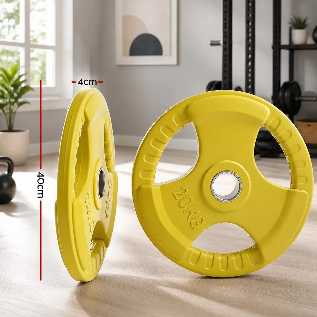Olympic Weight Plates 20kg Pair Heavy Duty Cast Iron with Rubber Coating for Home Gym Strength Training