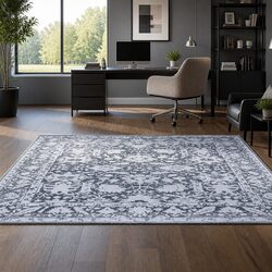 Functional Area Rug 200x290cm for Various Rooms