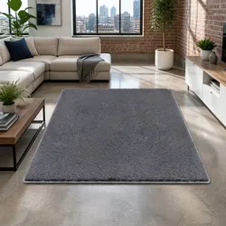 Versatile 200x290cm Shaggy Rug for Living Spaces