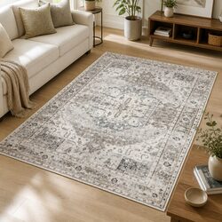 Ideal Area Rug for Any Home Environment