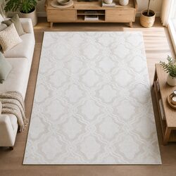 Shaggy Floor Rug 10mm Pile Soft Plush Living Room Bedroom Area Rug 200x290cm