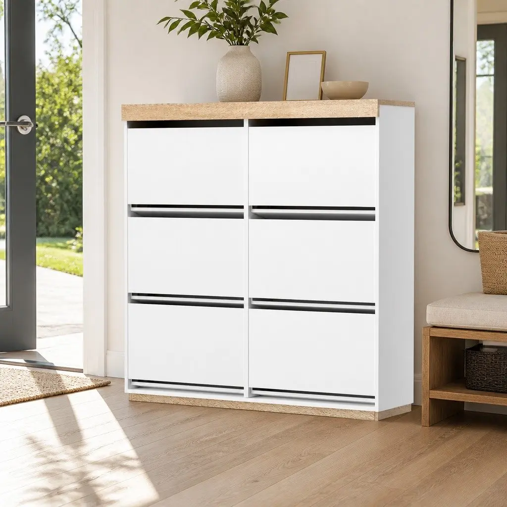 Shoe Storage Cabinet for Home Use