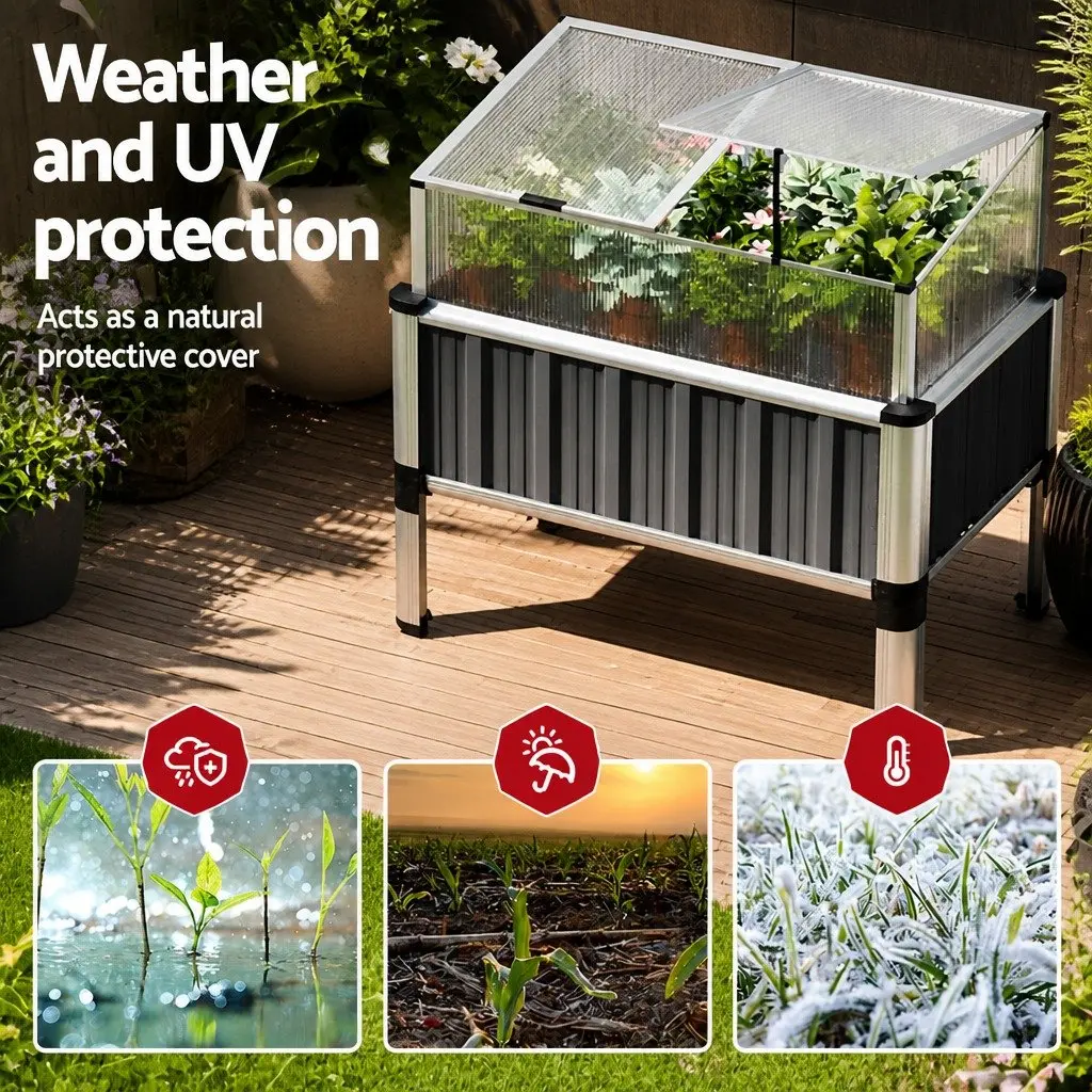 Raised Garden Bed Galvanized Steel Aluminium Frame 80x49x74cm Aluminium Grey Polycarbonate Roof