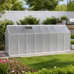 Practical Aluminium Greenhouse for Home Gardeners