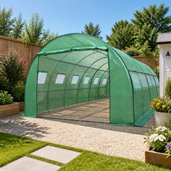 Practical 6M x 3M Walk-in Greenhouse for Home Gardening