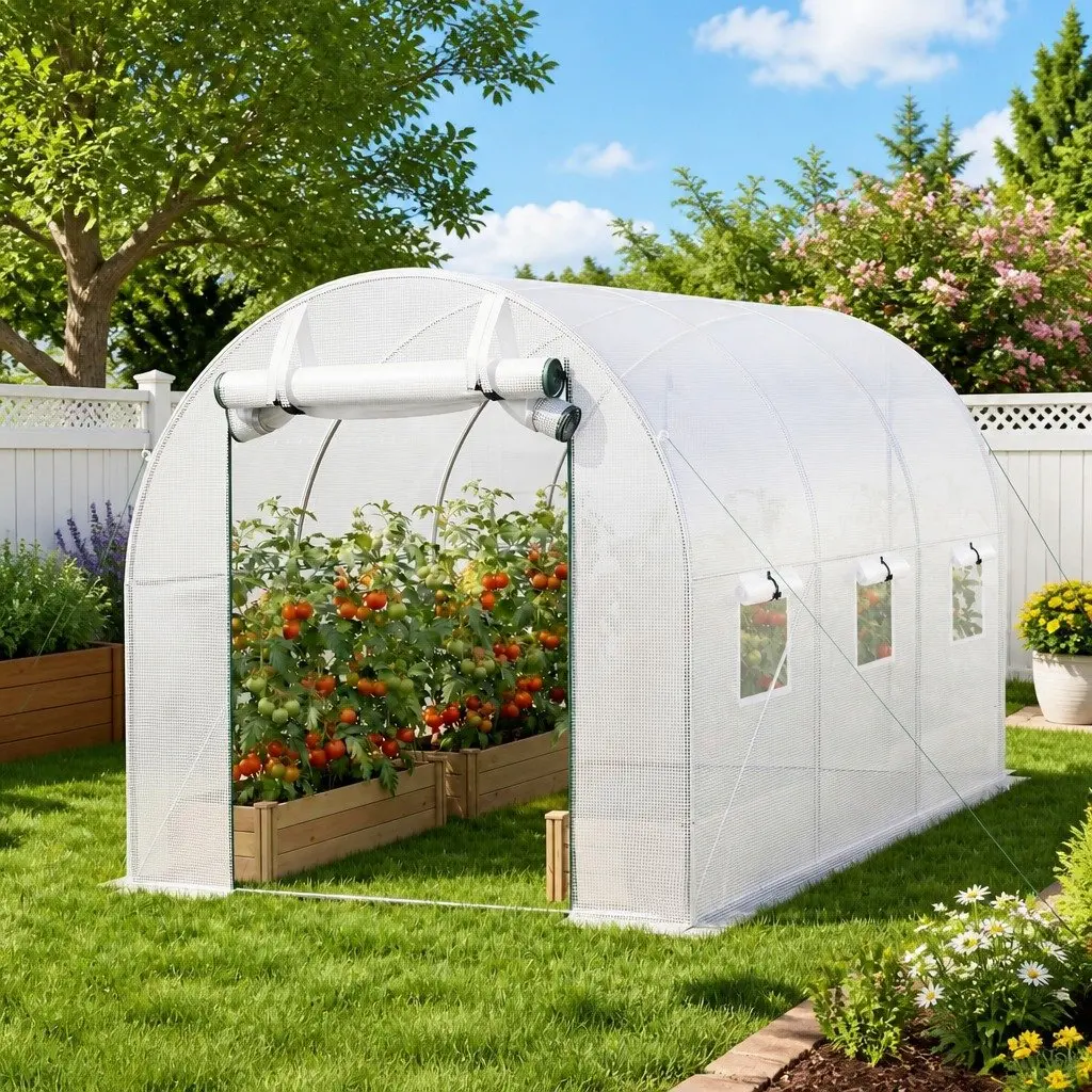 Greenhouse PE Cover Steel Frame Roll-up Door 3x2x2M White Outdoor Garden