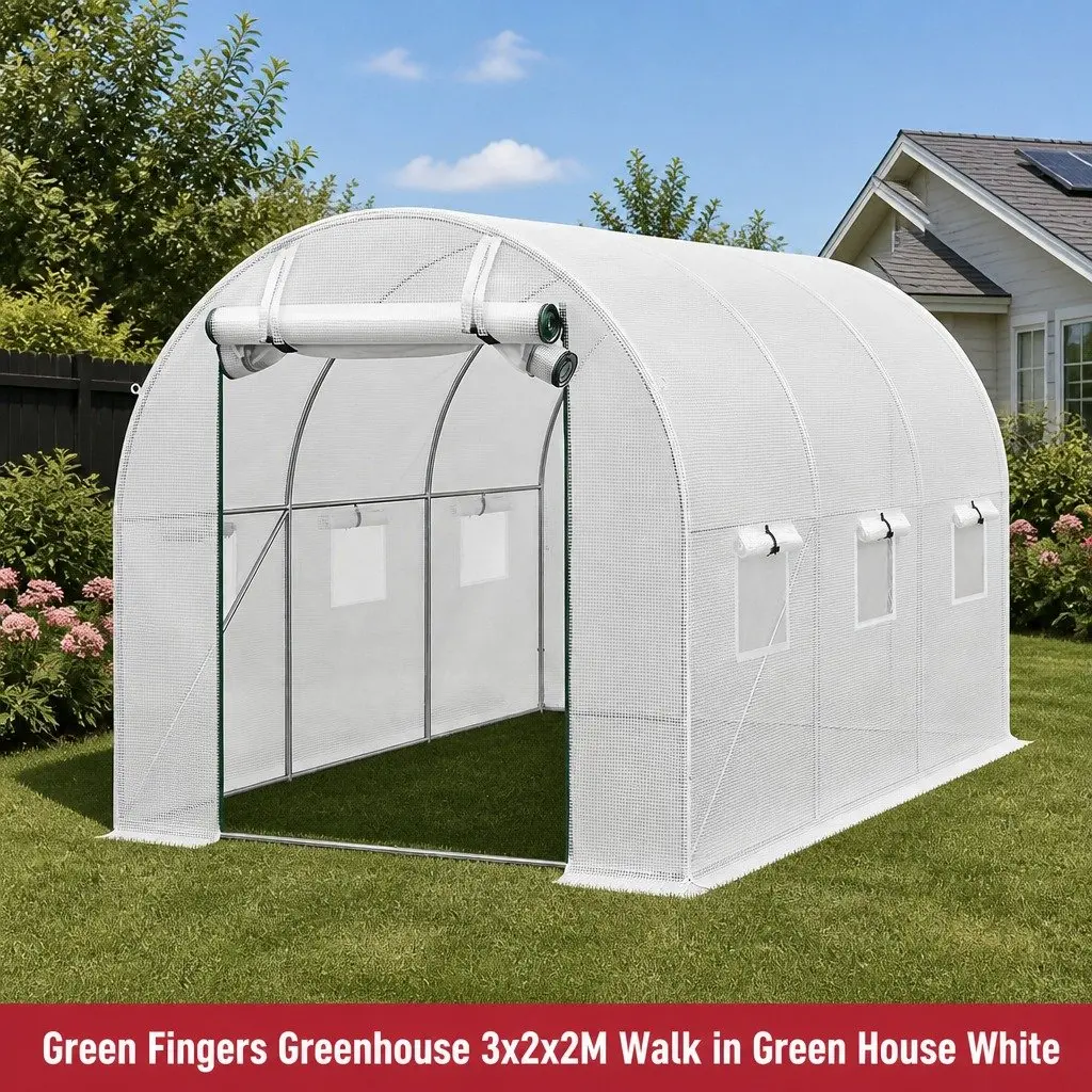 Greenhouse PE Cover Steel Frame Roll-up Door 3x2x2M White Outdoor Garden