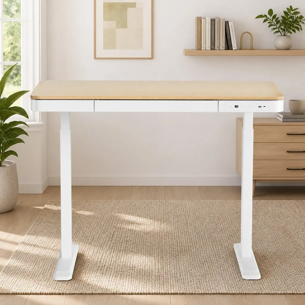 Sit Stand Desk Height Adjustable Motorised Walnut 120cm with Storage Drawer and USB Ports