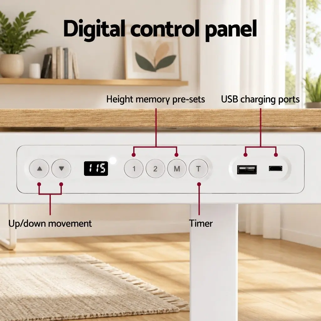 Sit Stand Desk Height Adjustable Motorised Walnut 120cm with Storage Drawer and USB Ports