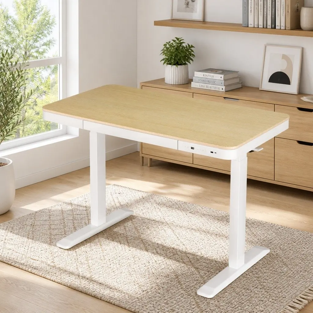 Sit Stand Desk Height Adjustable Motorised Walnut 120cm with Storage Drawer and USB Ports