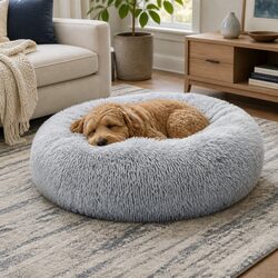 Pet Bed Designed for Comfort in Any Room