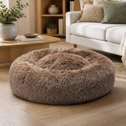 Practical Uses of the Large Donut Pet Bed
