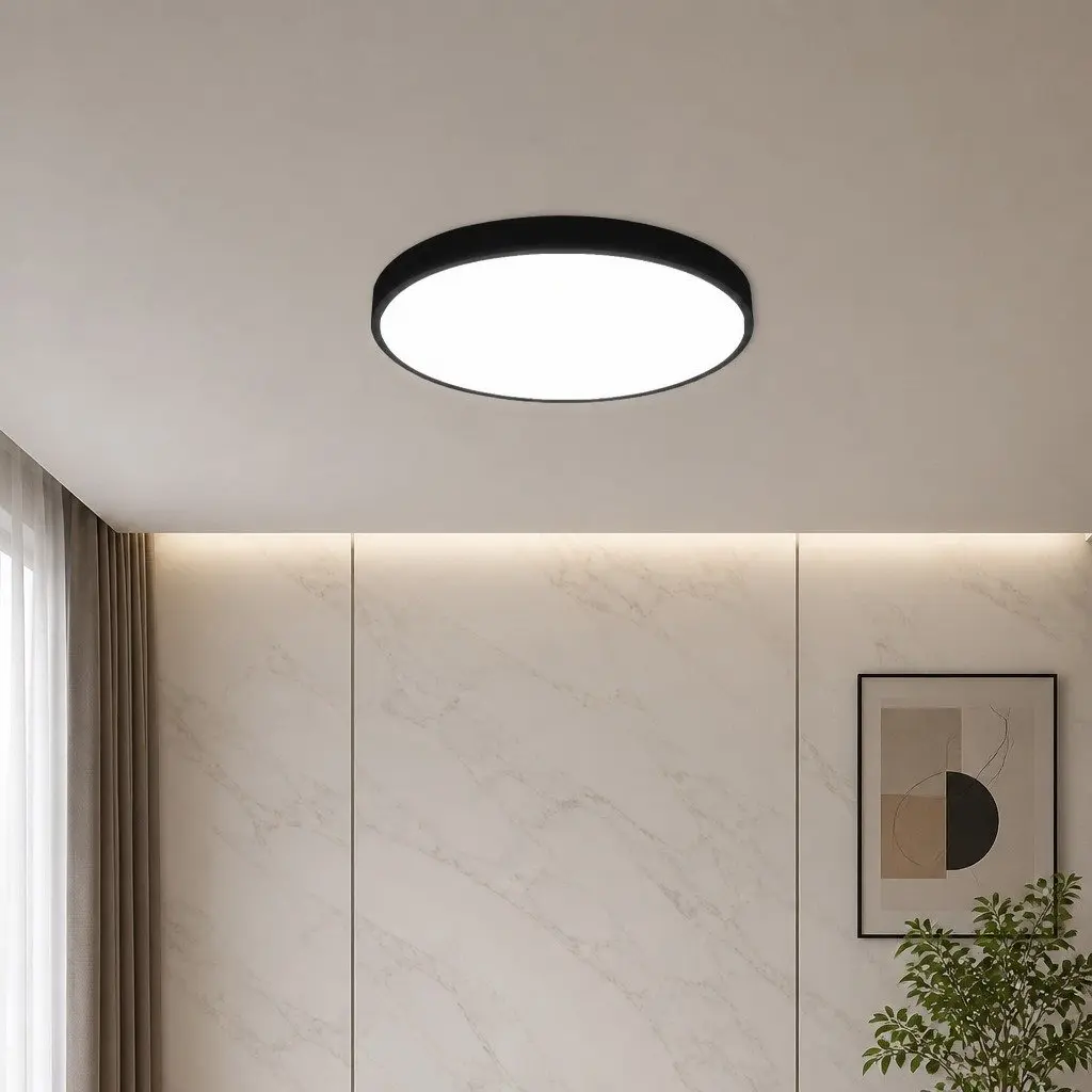 LED Ceiling Light Ultra-Thin 30CM Black 18W