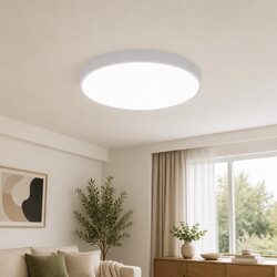 Ideal 36W LED Ceiling Light for Various Home Areas