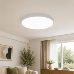 Ideal 36W LED Ceiling Light for Various Home Areas