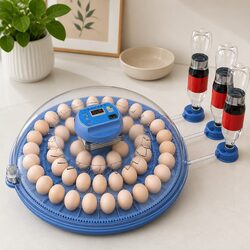 Perfect 52 Egg Incubator for Everyday Use