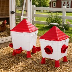 Versatile Automatic Chicken Feeder and Waterer for Home Use