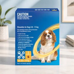 Practical Monthly Chew for Small Dogs 3.6-7.5kg