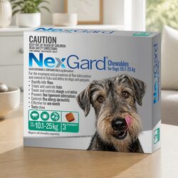 Essential Flea and Tick Protection for Large Dogs