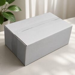 Practical RSC Carton 270x160x100mm White Box for Home Use