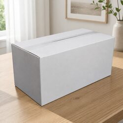 Practical White RSC Carton Pack for Everyday Use