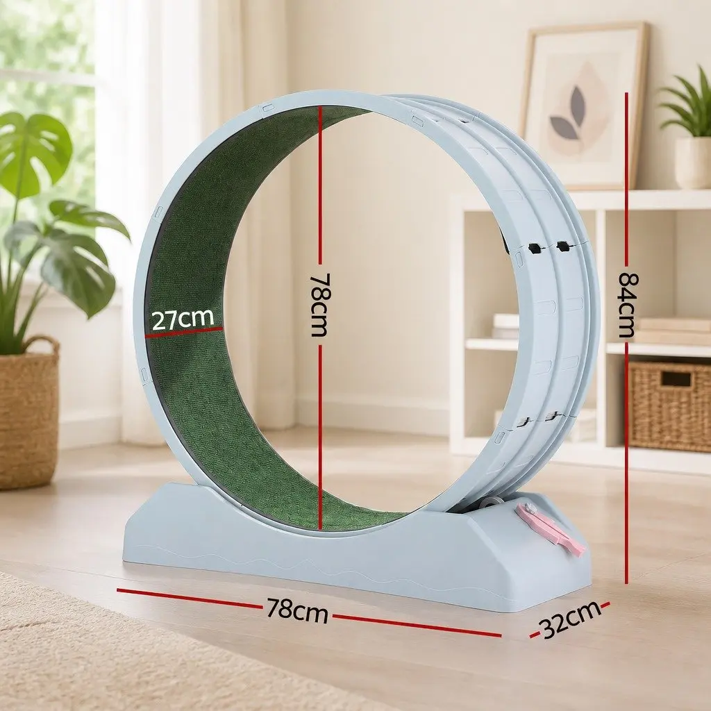 Cat Exercise Wheel Indoor PP 78cm Blue Green Mute Roller Safety Lock Detachable