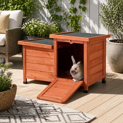 The Practical Outdoor Cat House for Your Pets