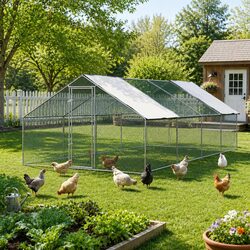 Practical Chicken Coop for Backyard Poultry Needs