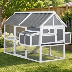 Versatile Chicken Coop Suitable for Any Backyard