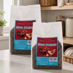 Practical Use of Bug Blend 750g in Bird Feeding