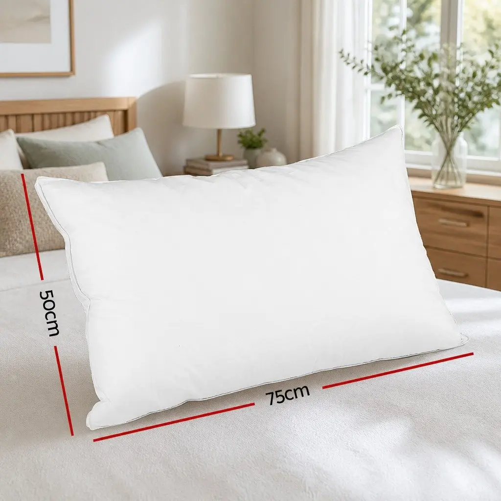 Duck Feather Down Pillow Cotton Standard Size White Twin Pack Neck Support