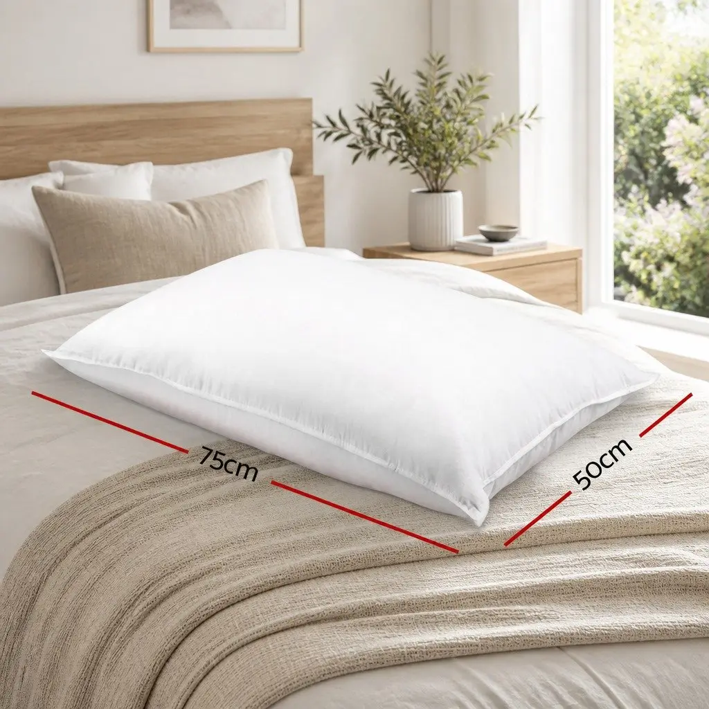 Duck Feather Down Pillow Cotton Casing 73 x 48cm White Twin Pack