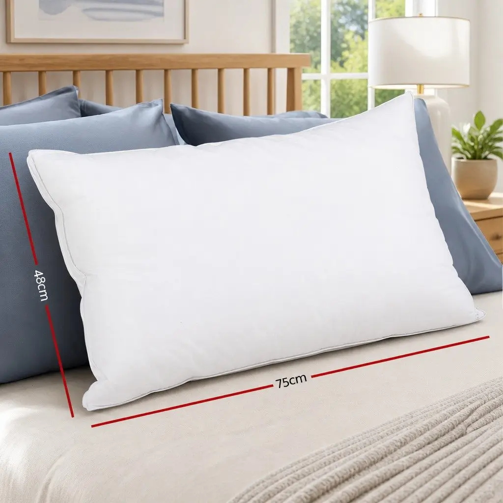 Goose Feather Down Pillow Cotton Standard Size White Twin Pack Head Neck Support