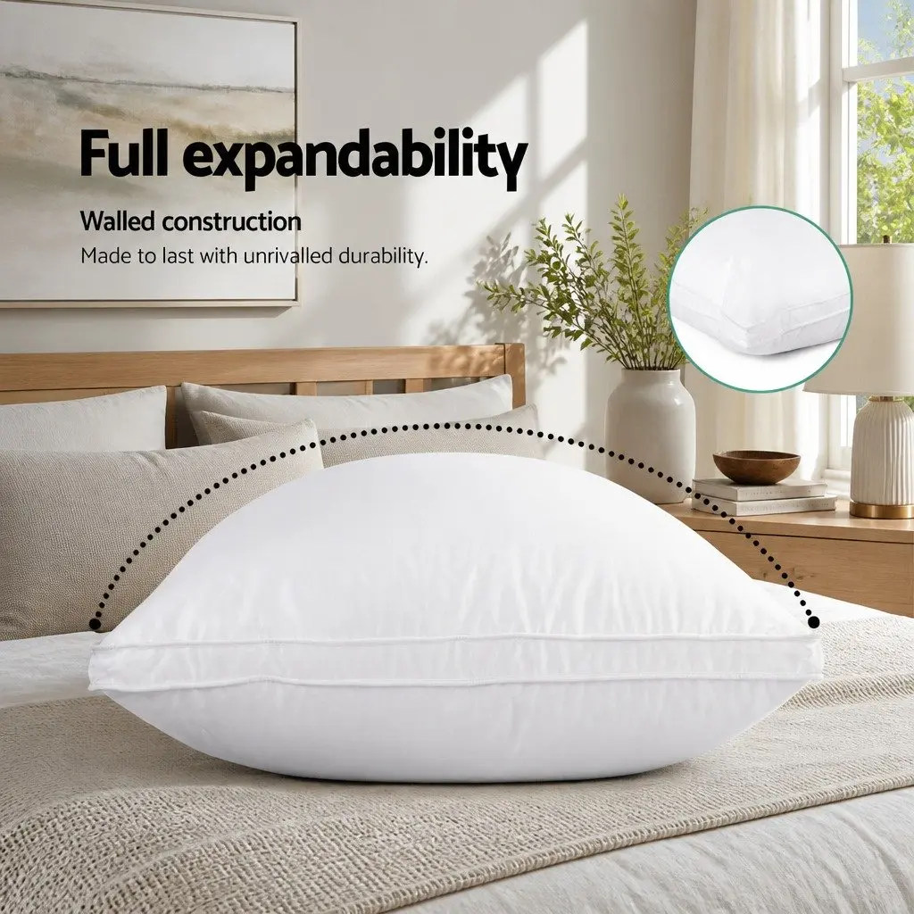 Goose Feather Down Pillow Cotton Standard Size White Twin Pack Head Neck Support