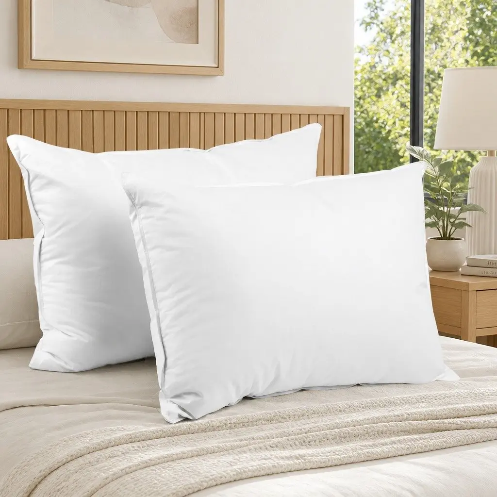Goose Feather Down Pillow Twin Pack for Home Use