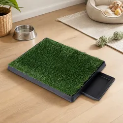 Ideal Potty Training Solution for Your Home