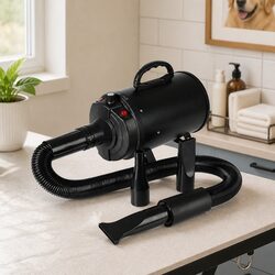 Practical Solutions: Where to Use the Pet Hair Dryer at Home