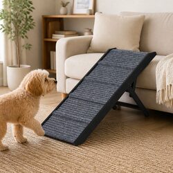 Versatile Folding Dog Ramp for Home and Car Use