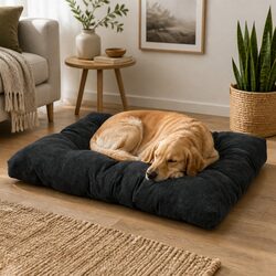 Practical Pet Cushion Bed for Everyday Use at Home