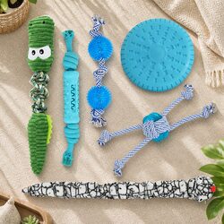 Perfect Play Solutions for Your Pup with 6 Dog Toys