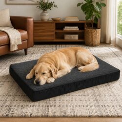 Versatile XXL Pet Bed for Everyday Use