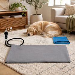 Practical Heated Dog Bed for Everyday Use